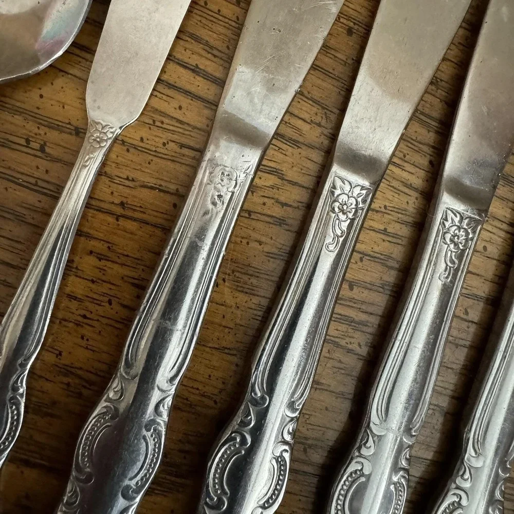Lot International Stainless China Flatware Dinner‎ Knives Butter Spoon
